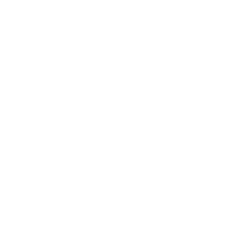 stabilitas logo circle white